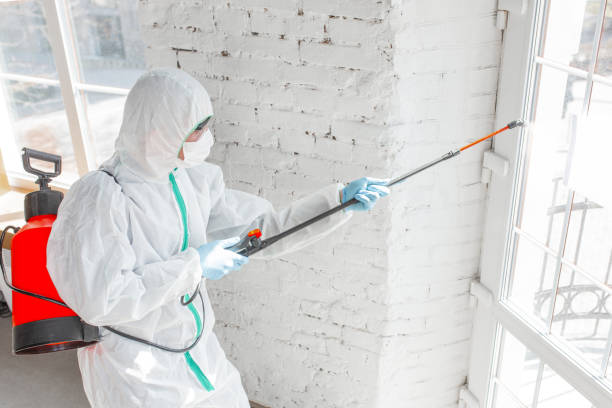 Best Industrial Mold Remediation in North Bend, WA